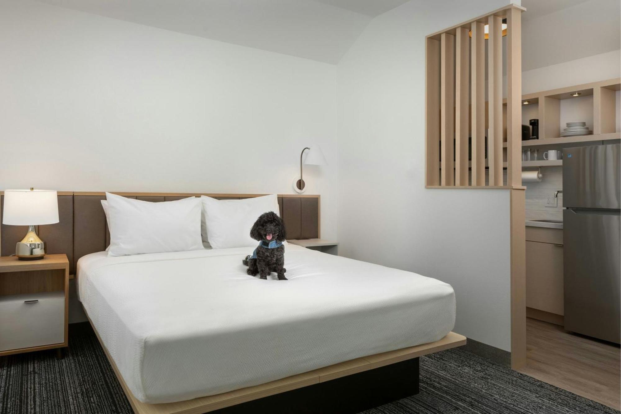 Towneplace Suites By Marriott Annapolis Zewnętrze zdjęcie